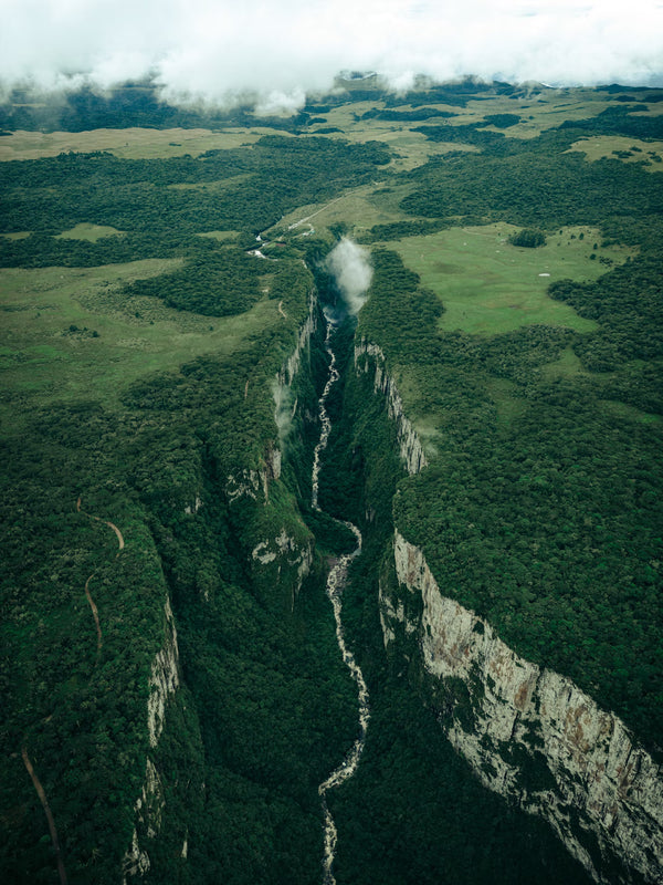 Amazonas